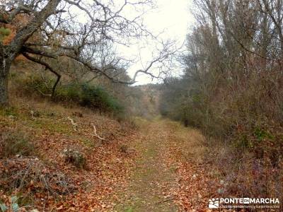 Barranco Río Dulce; ruta volcanes olot agencia viajes alternativos agencias viajes españa rutas de